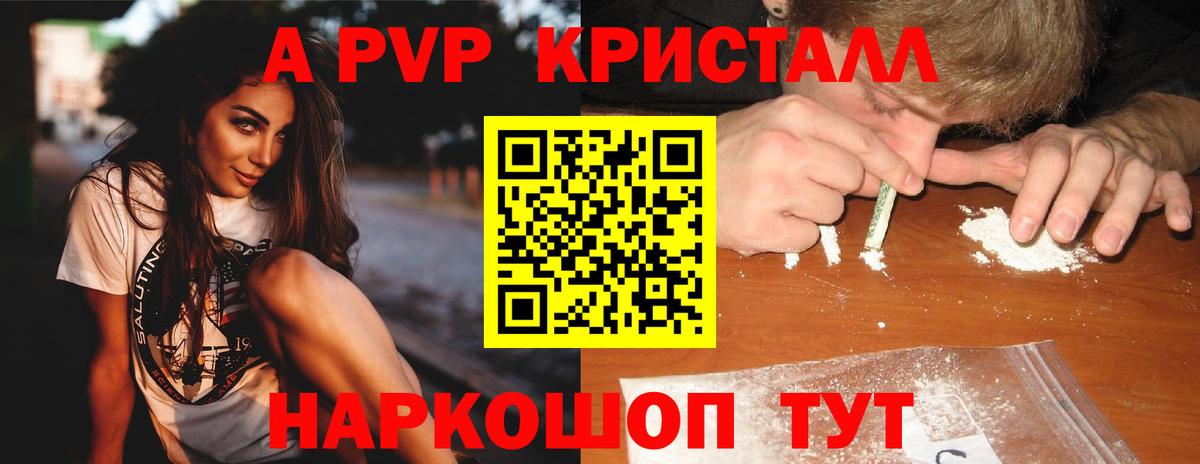 Alfa_PVP СК КРИС Тула